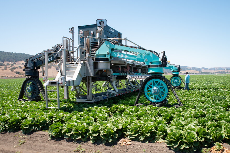 A large machine uses robotic arms to harvest lettuce in a field on a sunny day. 