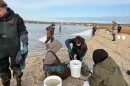 Students wearing waders and gloves, working with buckets and a net on a beach.