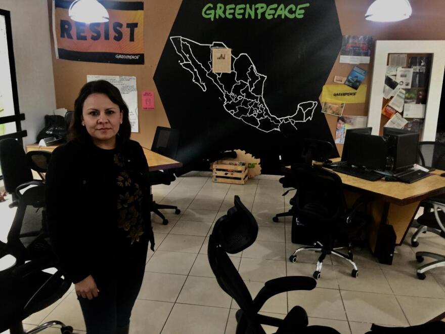 Aldeira Lara, director of campaigns for Greenpeace Mexico, at the non-profit's headquarters in Mexico City.