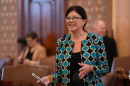 Illinois state senator Karina Villa