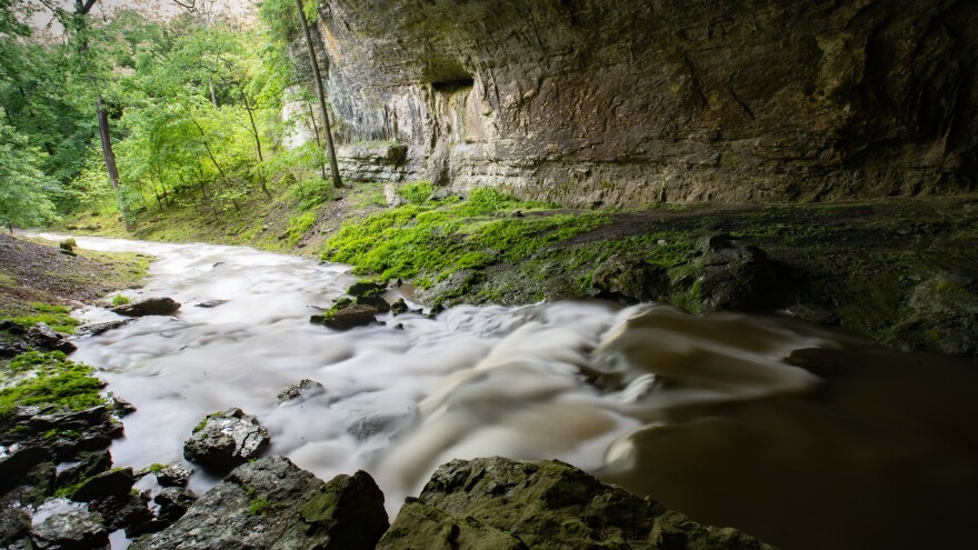 A spring fed stream in Southwest Missouri