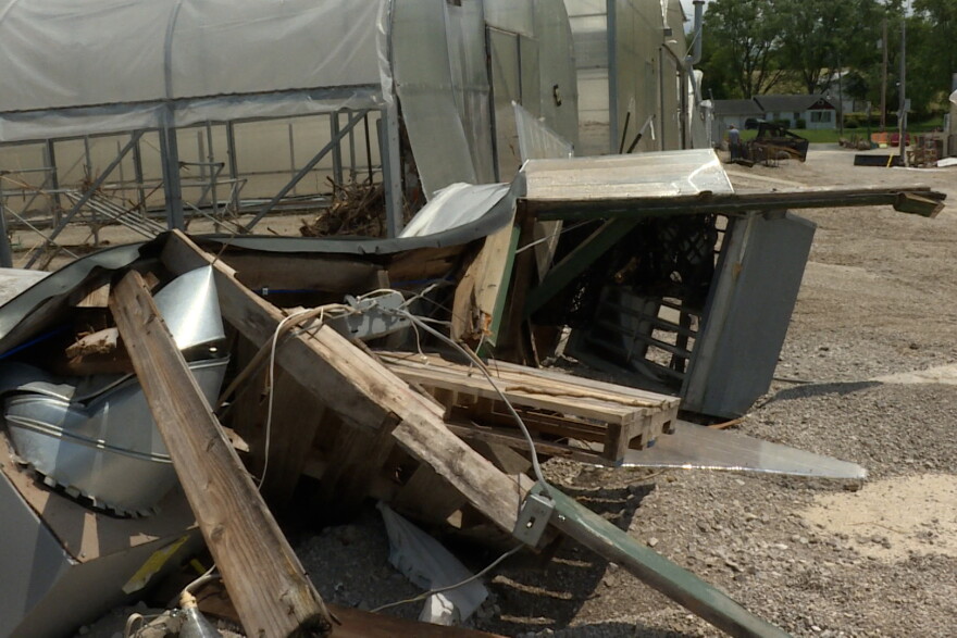 Mays Greenhouse Damage