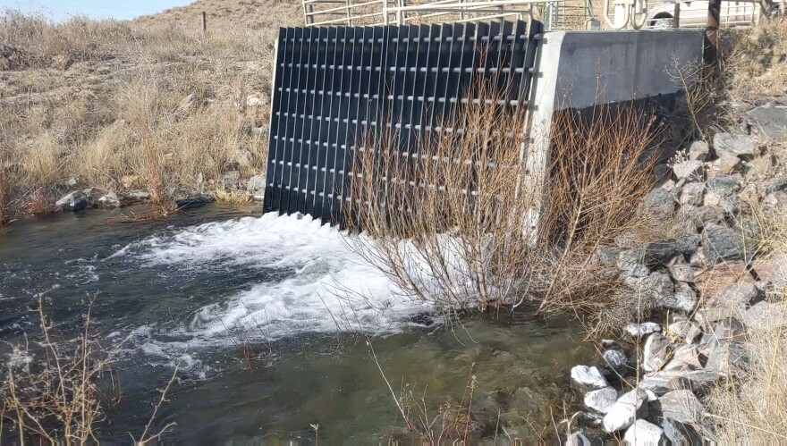 Water flowing out of a large square grate into a stream of water.