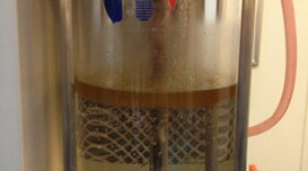 Fuel made from plastic floats on top of water in the Blest Machine.