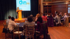 The Domestic Violence Network says it will use community discussions, consultation and educational opportunities to study six social issues connected to domestic violence.