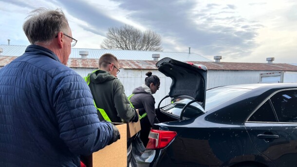 A line of volunteers carry cardboard boxes to a car with its trunk open.