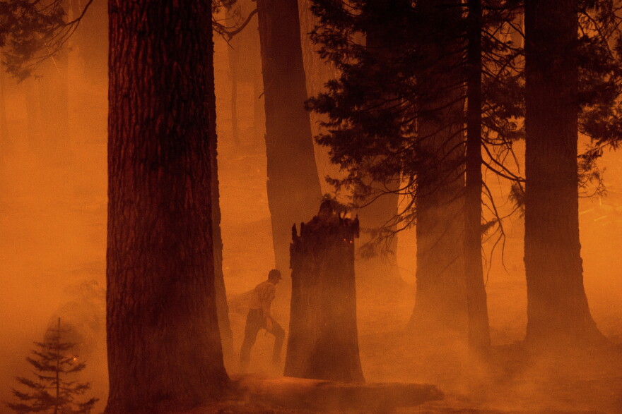 A firefighter walks through haze as the Park Fire burns near the Mineral community of Tehama County, Calif. on Wednesday, Aug. 7, 2024