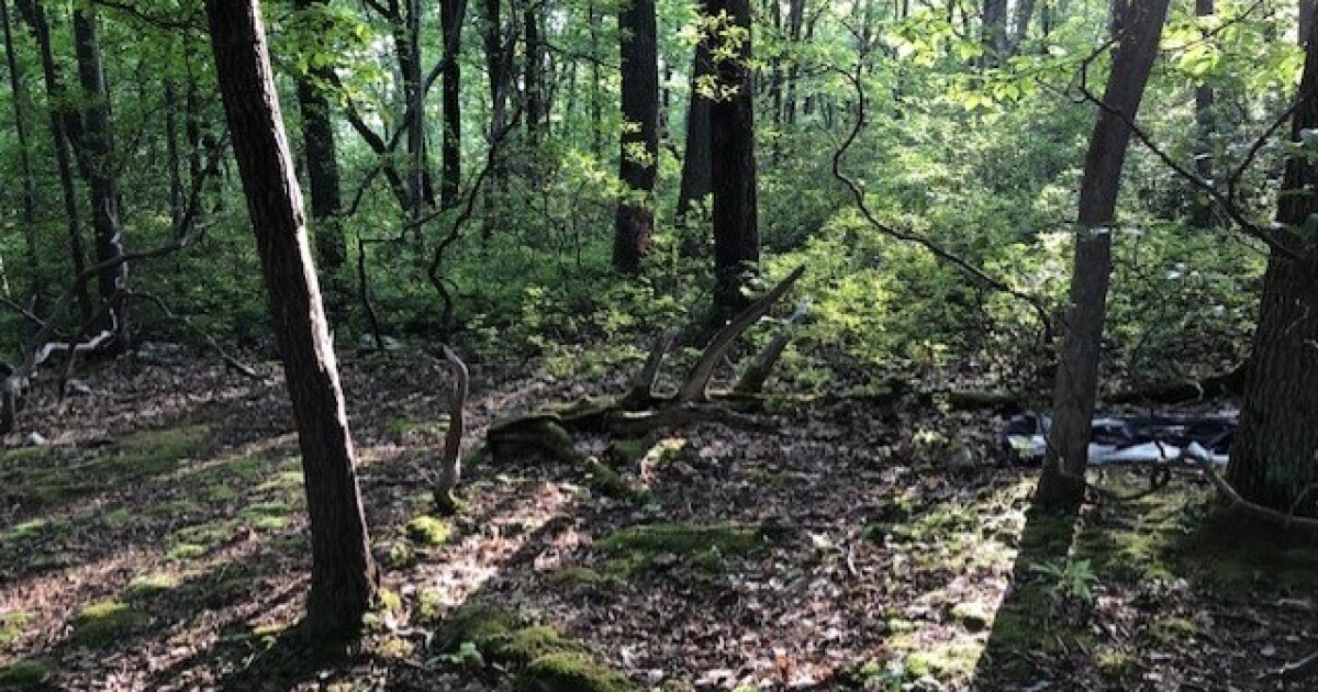 Facing drought, Pennsylvania bans campfires in state parks and forests