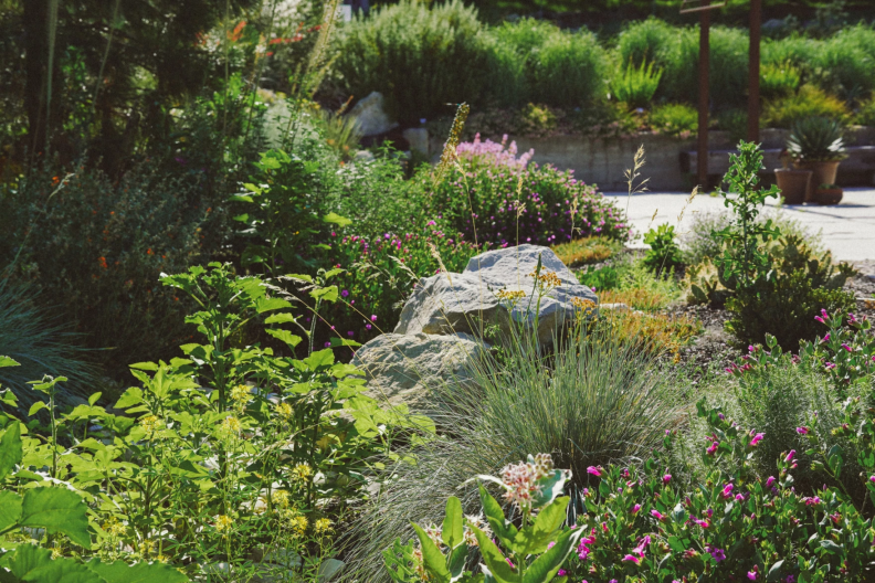 A picture of the Idaho Botanical Gardens.