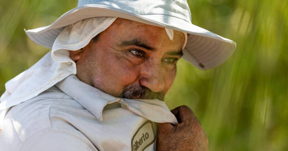 Miami is hotter this summer than last summer, any other year on record