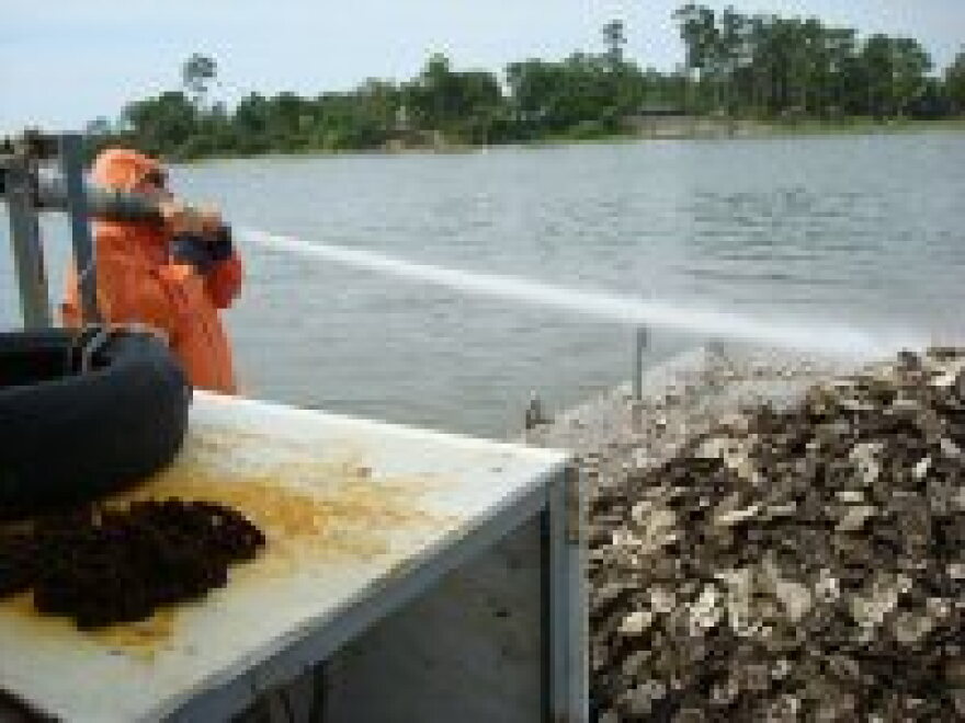 Steven Taylor sprays shells into a polluted section of the New River.