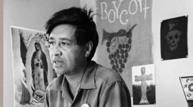 FILE - Cesar Chavez, a farm worker, labor organizer and leader of the California grape strike, is seen in a California works office in 1965.