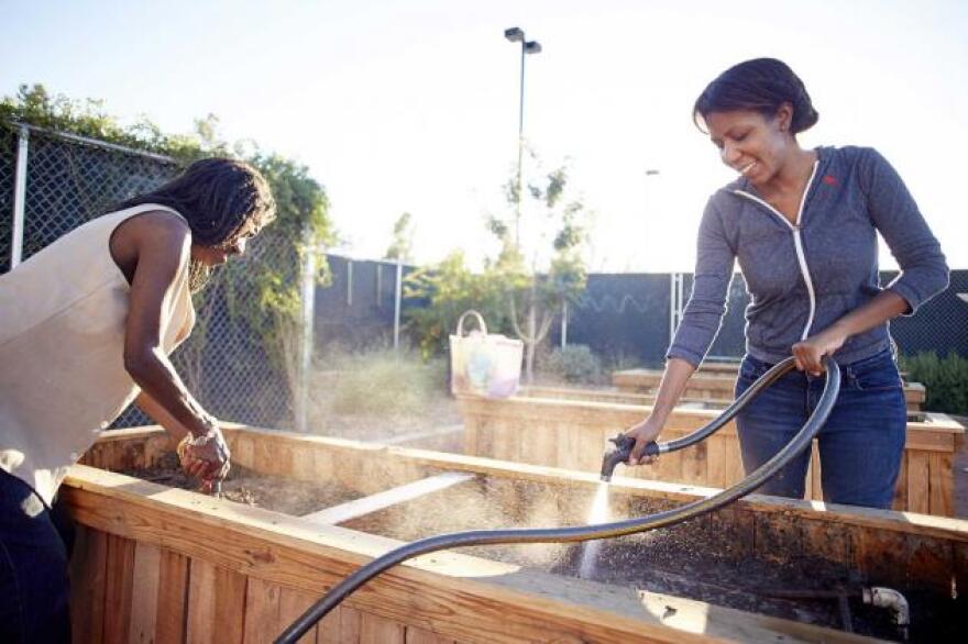 The UNLV Community Garden plans to spring into the season with monthly farmers markets and other special events.