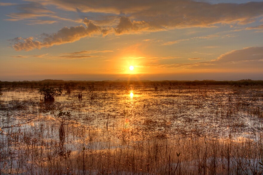 The Comprehensive Everglades Restoration Plan, now expected to cost about $16 billion, aims to restore some of the historic flow of water to marshes.