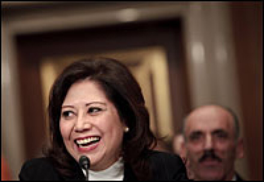 Rep. Hilda Solis (D-CA), President-elect Barack Obama's nominee for labor secretary, appears before the Senate Health, Education, Labor and Pensions Committee on Friday. She pledged to raise wages and retirement benefits for workers.