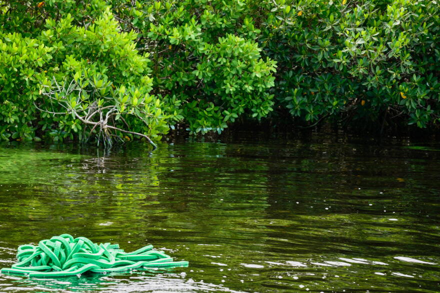 A finger-like configuration of AquaFlex's open-cell foam floats in a canal just off the Caloosahatchee River in Fort Myers.