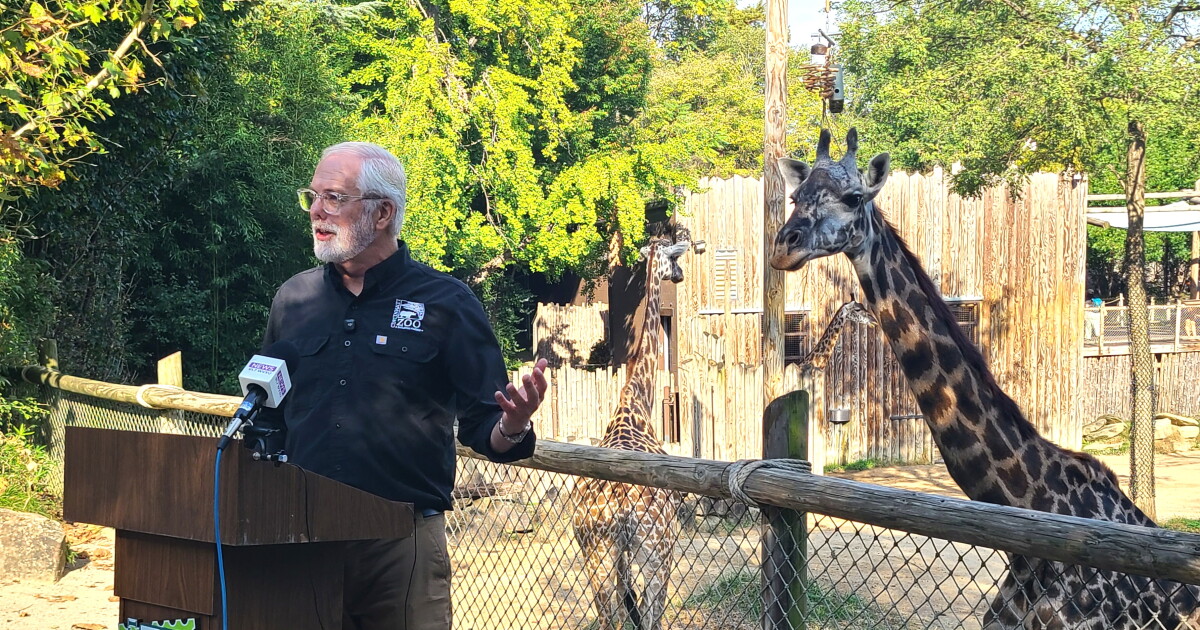 Cincinnati Zoo to livestream giraffe birth