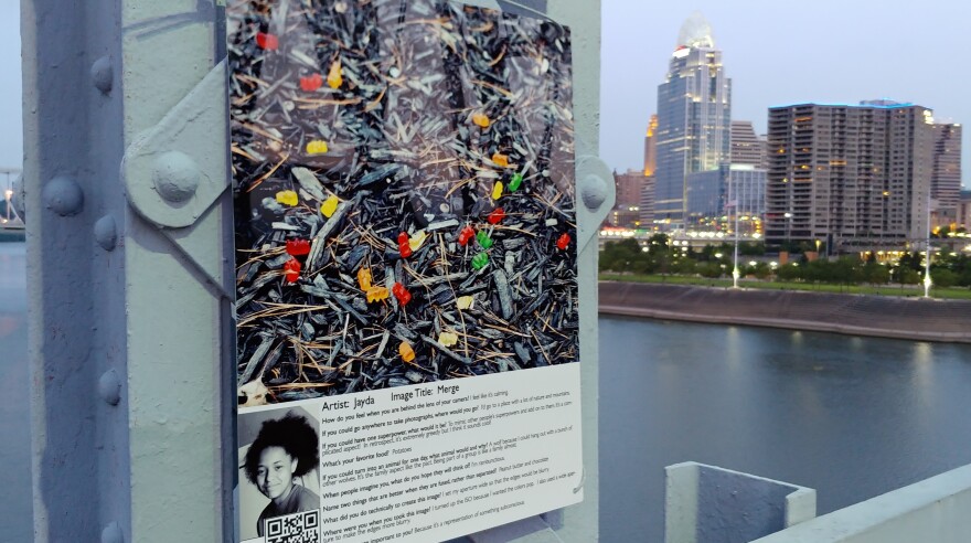 One of 20 photographs on display on the Purple People Bridge.