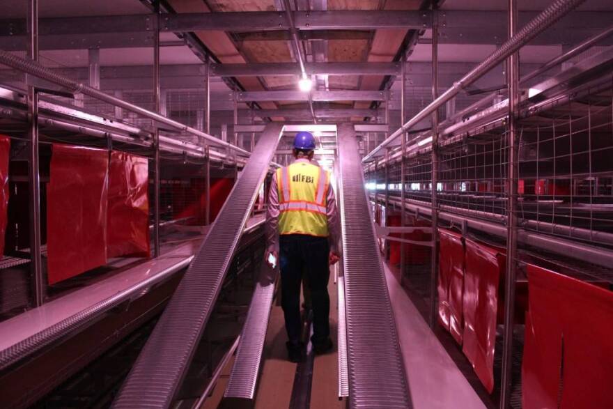 An Indiana Farm Bureau official tours an unfinished large-scale cage-free egg facility at Rose Acre Farms in Pulaski County. Each block of the house will contain 1,100 chickens, which can move freely across their aisle, up and down ramps and through different nesting areas.