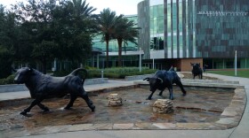 The University of South Florida joined Univ. of Florida and Florida State Univ. as the state's only preeminent universities last week.