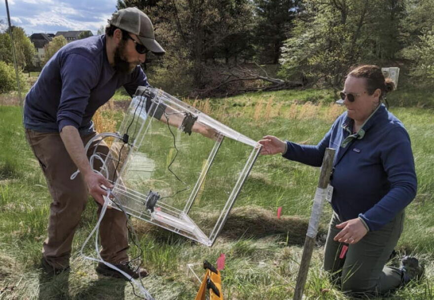 Andrew Reinmann and Lucy Hutyra deploy a chamber system to measure carbon dioxide from urban grasses during their earlier research.