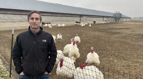 Co-owner of Bowman and Landes, Drew Bowman, stands in front of a rafter of turkeys on their farm