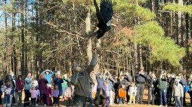 Ed Clark of the Wildlife Center of Virginia releases a bald eagle at Oak Grove Lake Park in Chesapeake Thursday, Dec. 7, 2023. (Photo by Katherine Hafner)