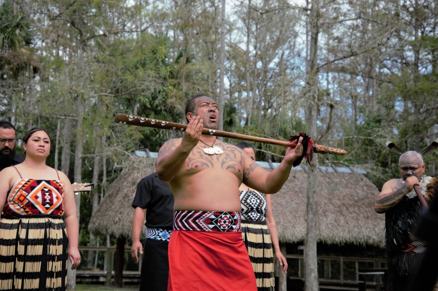 New Zealand’s HAKA Māori Cultural Experience will be part of the American Indian Arts Celebration in Big Cypress. The group will be showcasing traditional Indigenous demonstrations of the Traditional Māori Haka dance, Māori workshops, performing arts, music, visual arts and culture. Te Wehi Haka is a progressive Māori performing arts troupe from New Zealand. Here, the group is performing a welcome HAKA in honor of the celebration.