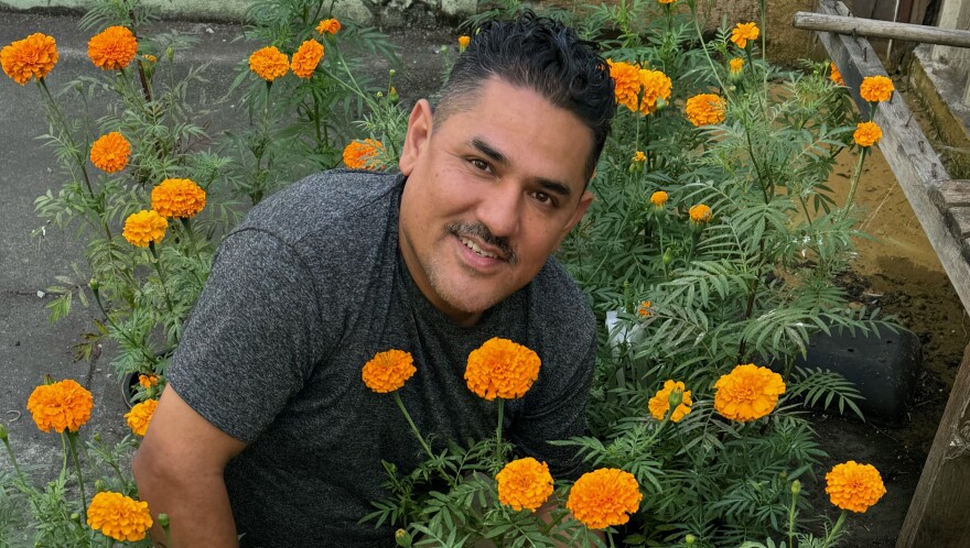 Florist Mauricio Vivas with marigold flowers