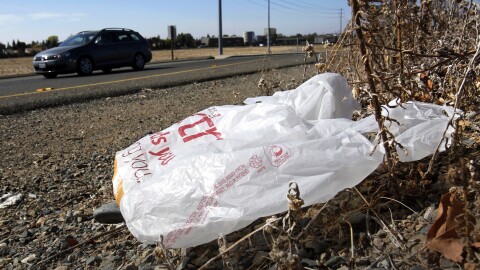 FILE - A plastic bag sits along a roadside in Sacramento, Calif., Oct. 25, 2013.