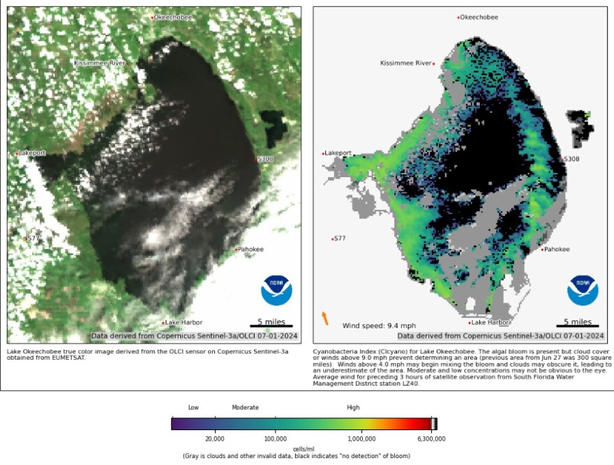 Monday July 1 is the most recent available satellite image of Lake Okeechobee from NOAA