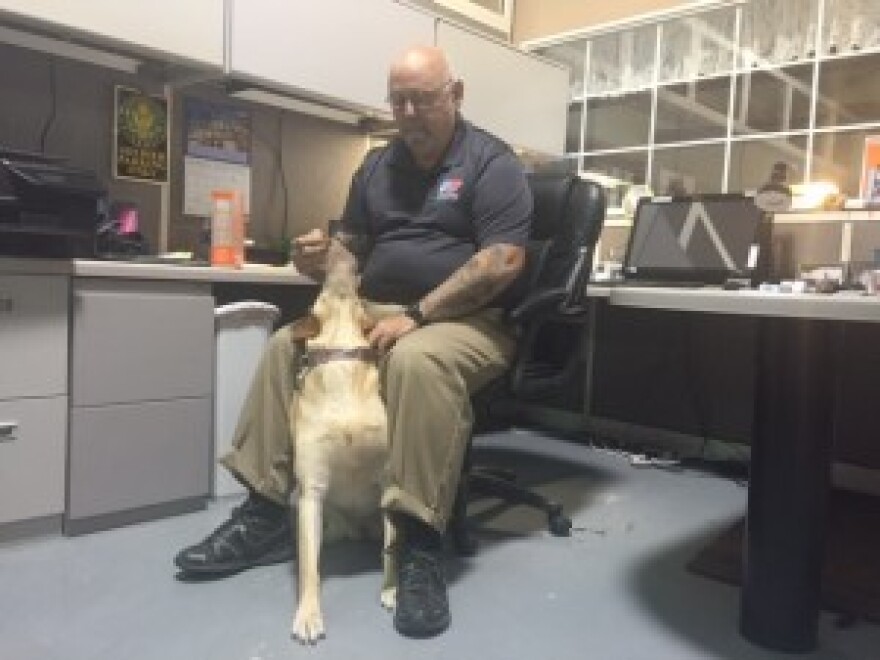 Vietnam vet and Patriot PAWS volunteer Jay Springstead with a dog in training.