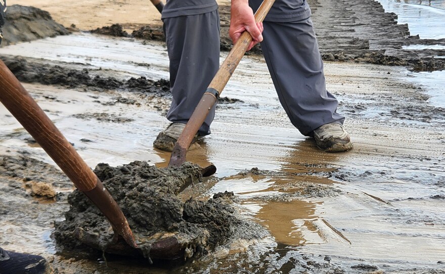 Volunteers shovel debris from the shores of Thunder Bay during a beach clean up at Blair Street Pier in Alpena on Wednesday, July 29, 2026.