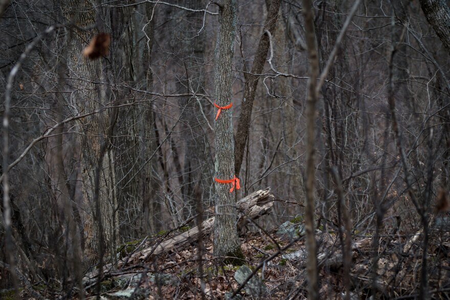 Orange flags near the trail mark the approximate crossing location of the pipeline, which would be tunneled hundreds of feet below ground.