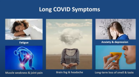 A slide from Dr. Bruce Levy's presentation on Long COVID for a Public Health Institute of Western Mass webinar in January 2023.