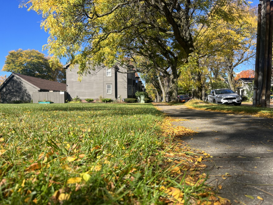 A vacant lot in the Wadsworth Square Neighborhood is being eyed for development into townhouse rentals.