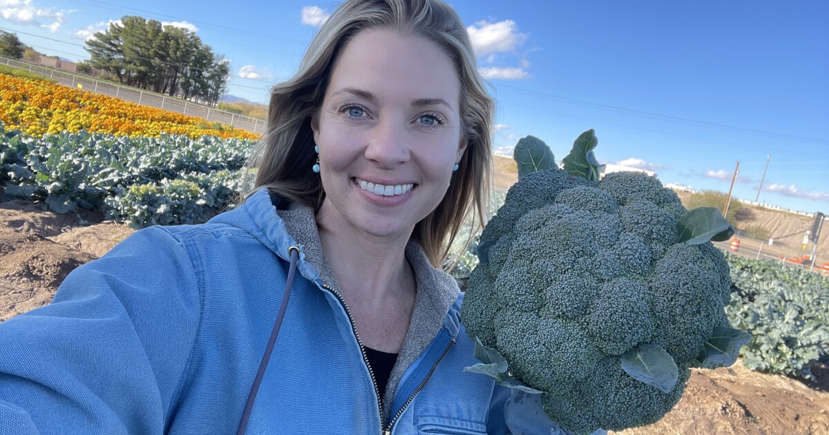 Chile Pepper Institute grows plants to order for annual fundraiser