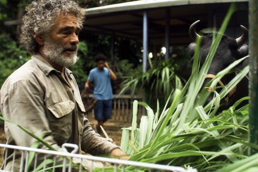 “Esta Isla” (This Island) Directors Cristian Carretero and Lorraine Jones Molina both said they felt a need to explore the issues and questions around Puerto Rican identity growing up on the island, given its complicated ties with the United States.