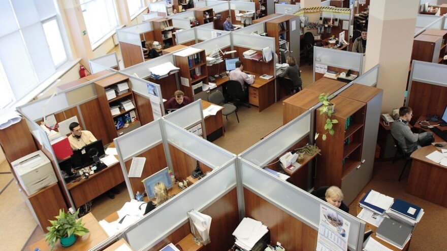 people working in cubicles