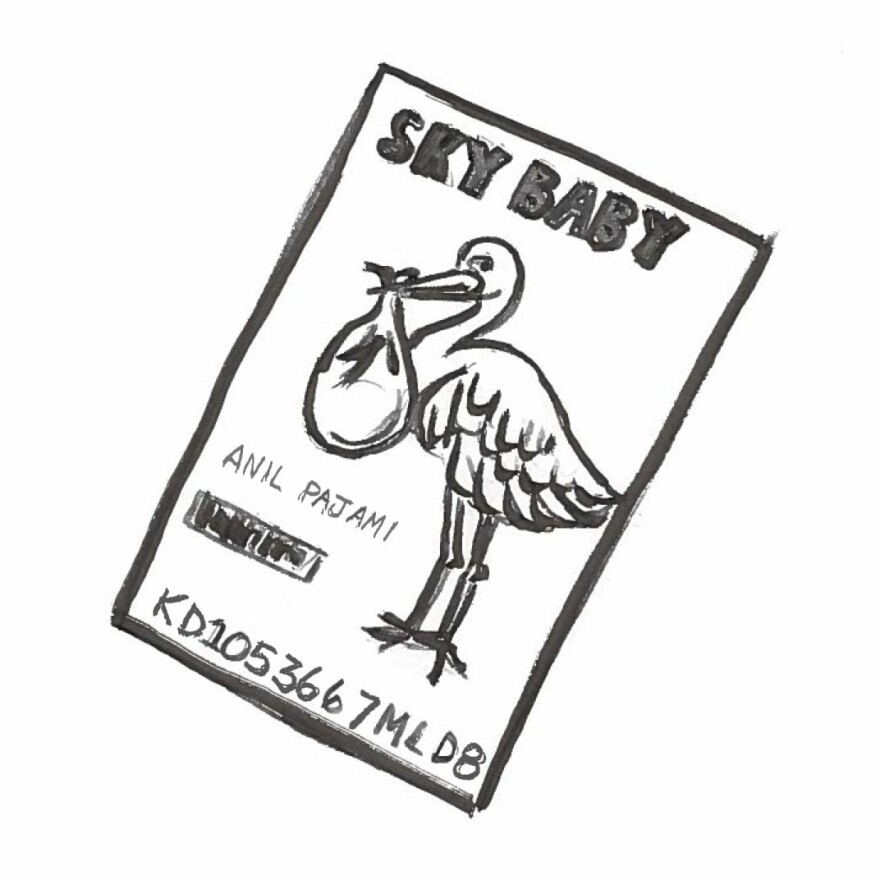 A Sky Baby passport.