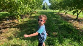 Photo by Mechelle Hankerson. News Director Mechelle Hankerson and her nephew, 4-year-old Owen McPherson, take us peach picking in southern Virginia Beach.
