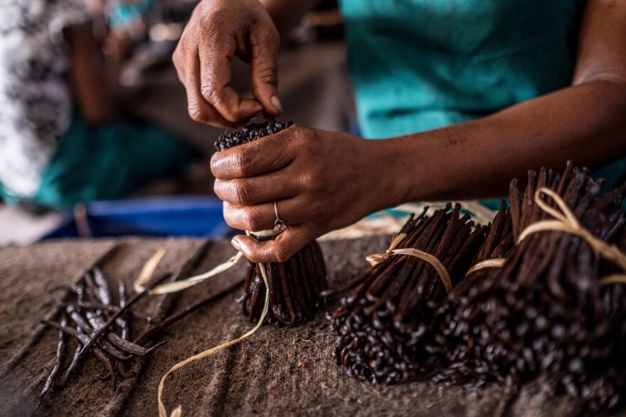 Workers sort through bundles of vanilla at a warehouse in Antalaha, Madagascar.