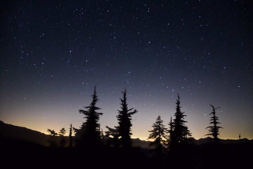 Perseid meteor shower at Mount Catherine off Snoqualmie Pass near Seattle.