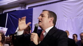 U.S. Sen. Ted Cruz gives his victory speech after defeating Democratic challenger Beto O'Rourke, in Houston.