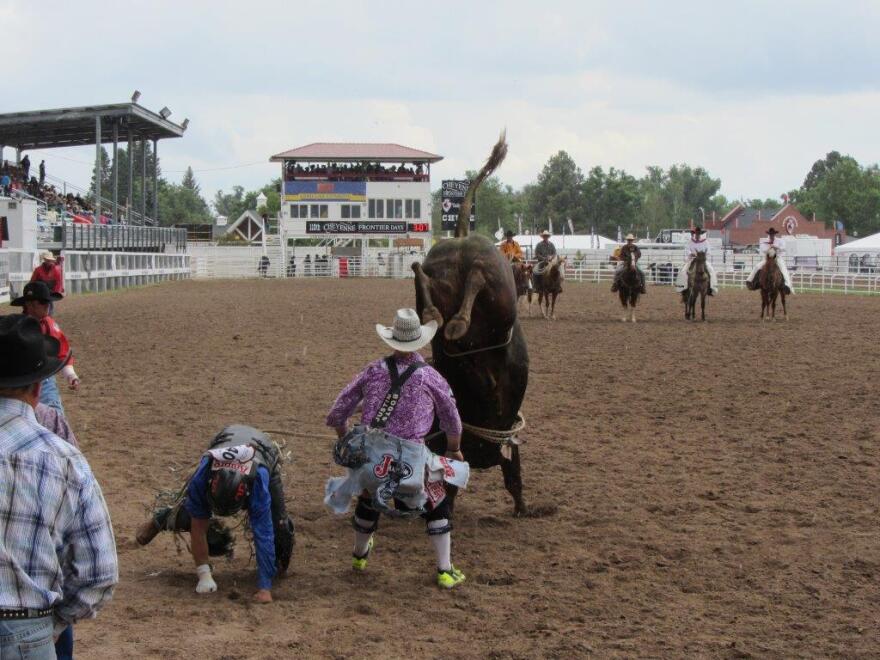 rodeo bullfighter dusty tuckness