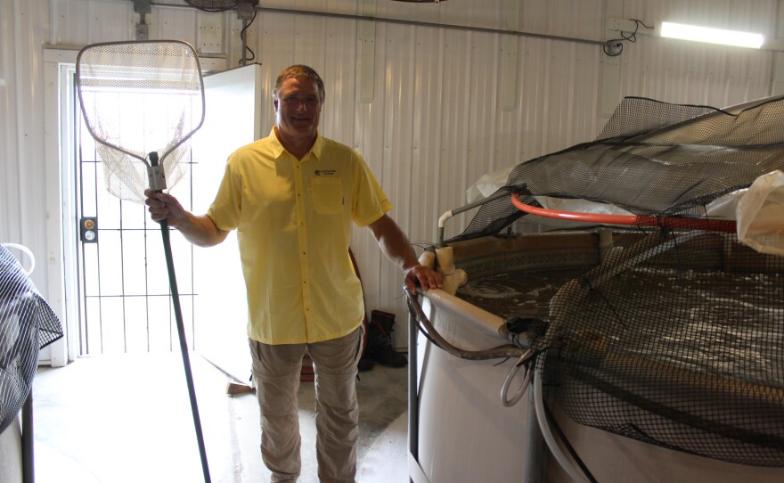 bob_daniels_shrimp_tank.jpg