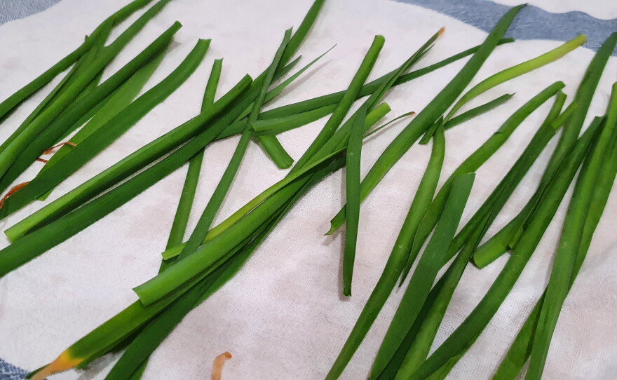 Harvested Society Garlic