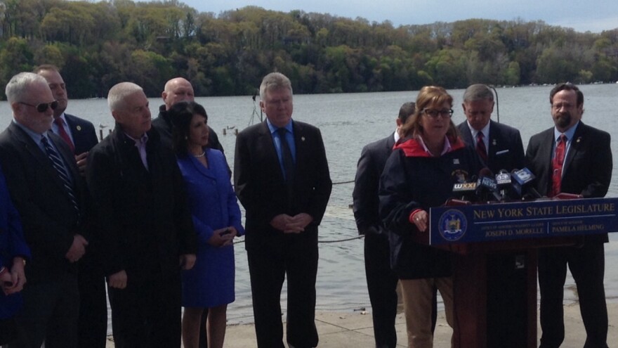 State Senator Pam Helming, et al.
