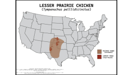 The range of the lesser prairie-chicken is depicted by this map.