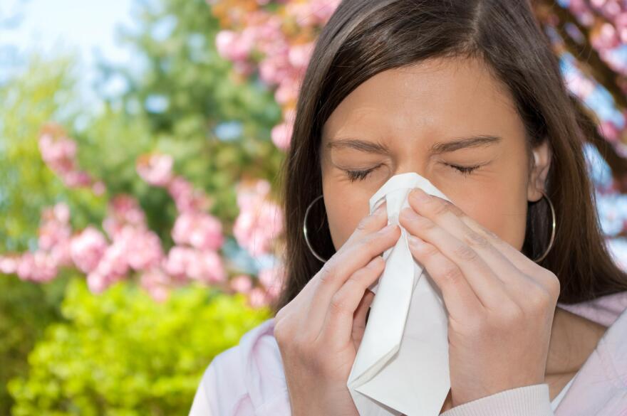 The official pollen count will likely continue to be high this spring in the Cleveland area. [mkrberlin / Shutterstock]